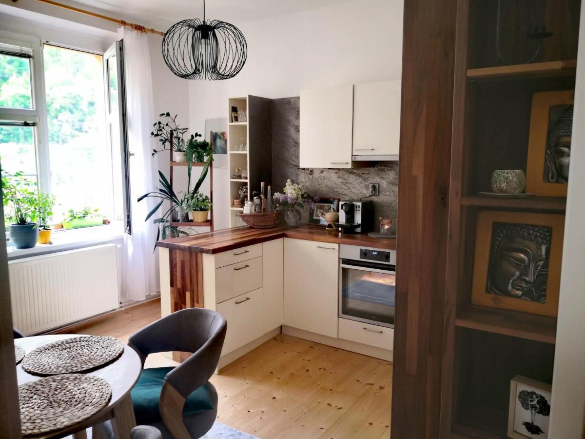 Apartmany Ivana Decin Buitenkant foto