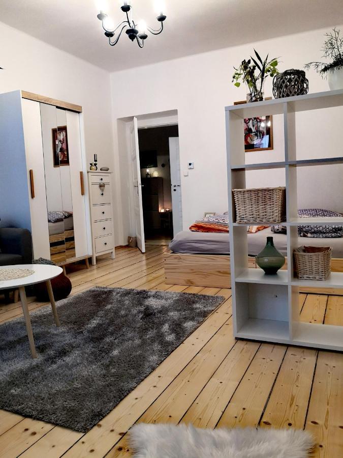 Apartmany Ivana Decin Buitenkant foto