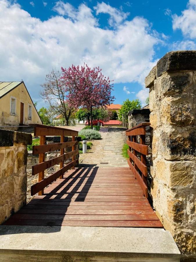 Apartmany Ivana Decin Buitenkant foto
